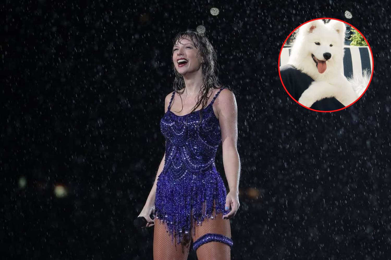 taylor swift travis kelce dog wendy samoyed