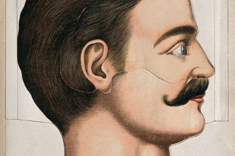 movember 2026 south africa how to take part