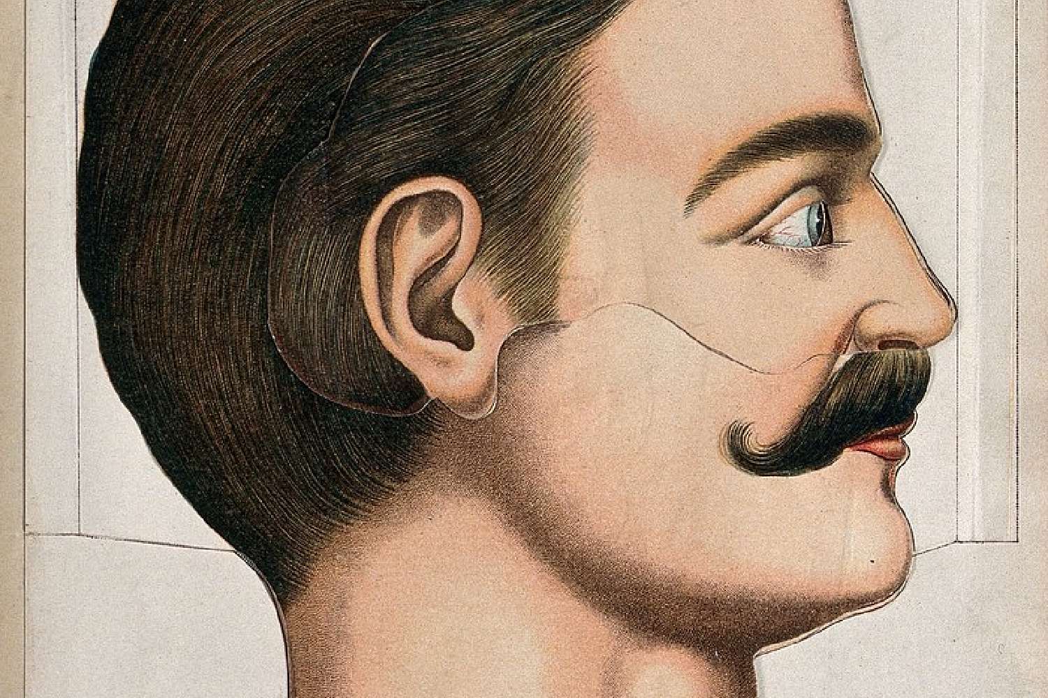 movember 2026 south africa how to take part
